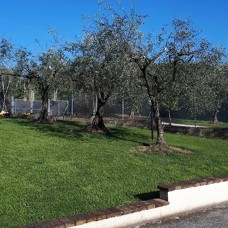 Nella Cantina Di Adamo *