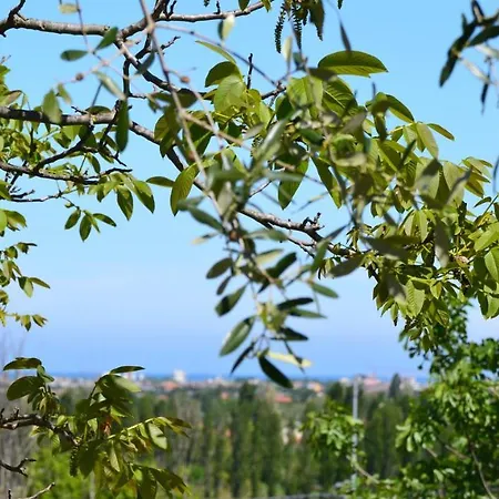Appartement Nella Cantina Di Adamo Rimini