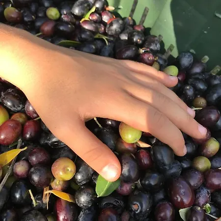 Nella Cantina Di Adamo