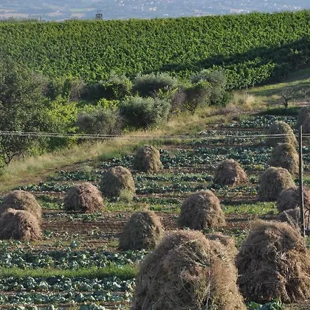 Apartamento Nella Cantina Di Adamo