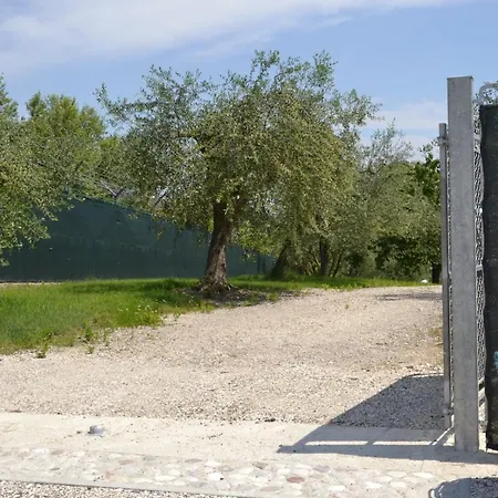 Nella Cantina Di Adamo * Rímini