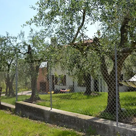 Nella Cantina Di Adamo